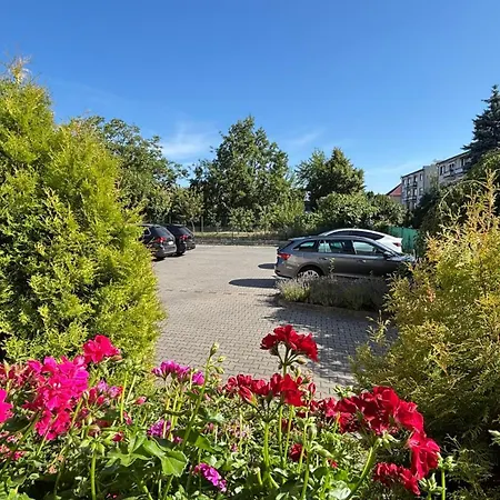 Tanny Cozy In - Terrase&free Parking * Piest'any